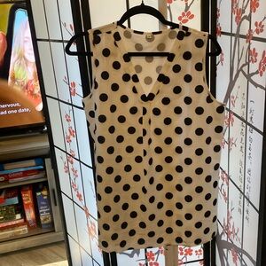 Black and white silky v-neck sleeveless blouse.